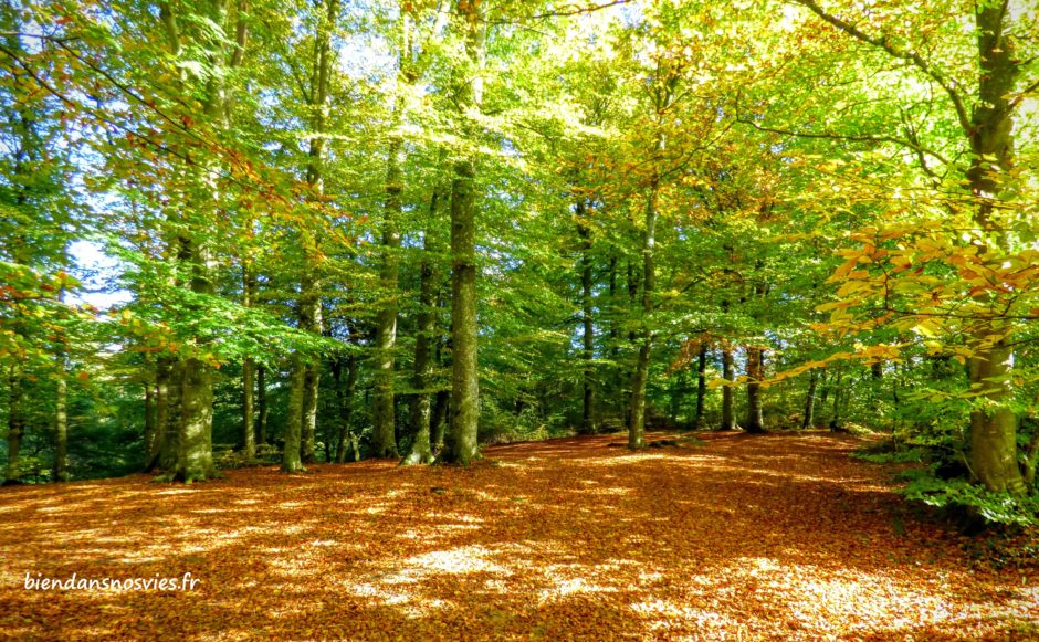 légende d'automne