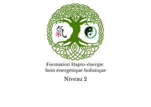 logo de la formation niveau 2