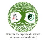 Pourquoi choisir une formation hapto-énergie ?