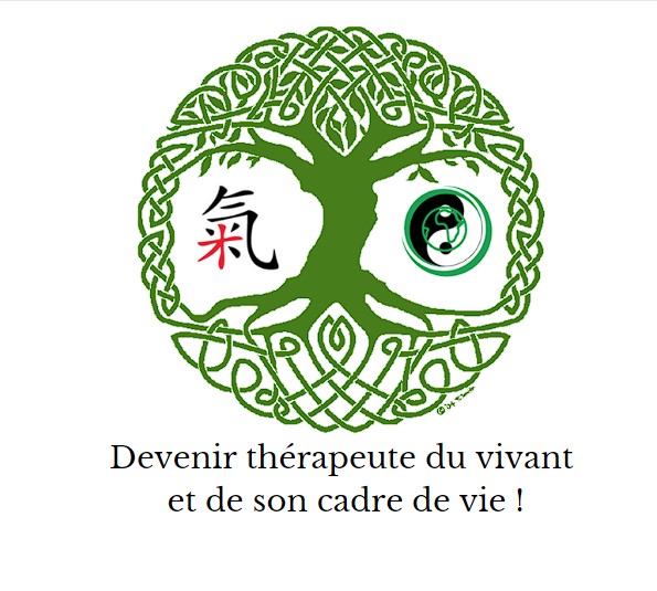 Pourquoi choisir une formation hapto-énergie ?