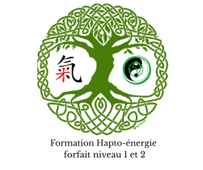 Forfait Hapto-énergie - Niveau 1 et 2 (Accès à vie)